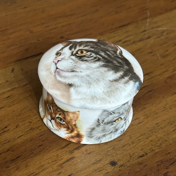 Newhall Other - Newhall Bone China Cat Themed Storage Box